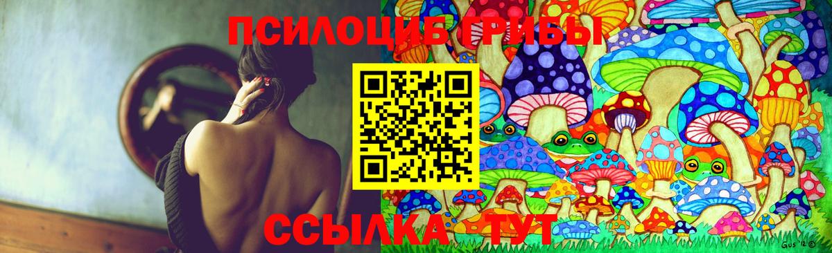 Галлюциногенные грибы мицелий Владимир